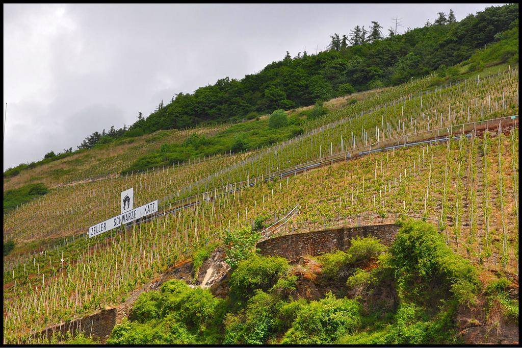 Pension Adelheid Moselhype&Wine Zell Exterior foto