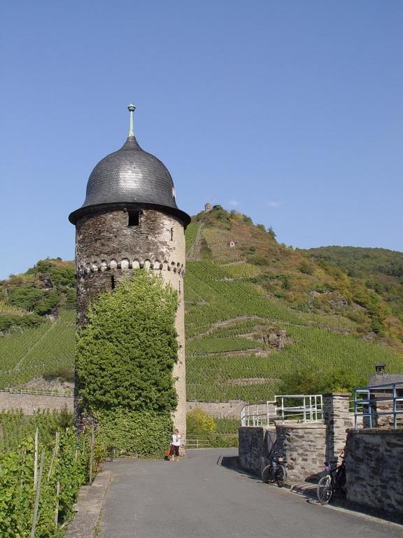 Pension Adelheid Moselhype&Wine Zell Exterior foto