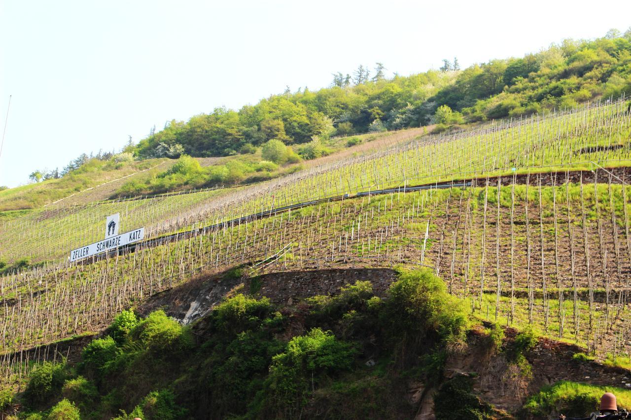 Pension Adelheid Moselhype&Wine Zell Exterior foto